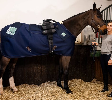 Ein Pferd mit Equine Balance Ganzkörpersystem und Katharina Rhomberg